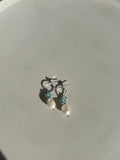 Jewel Turquoise Gemstone Earrings Silver